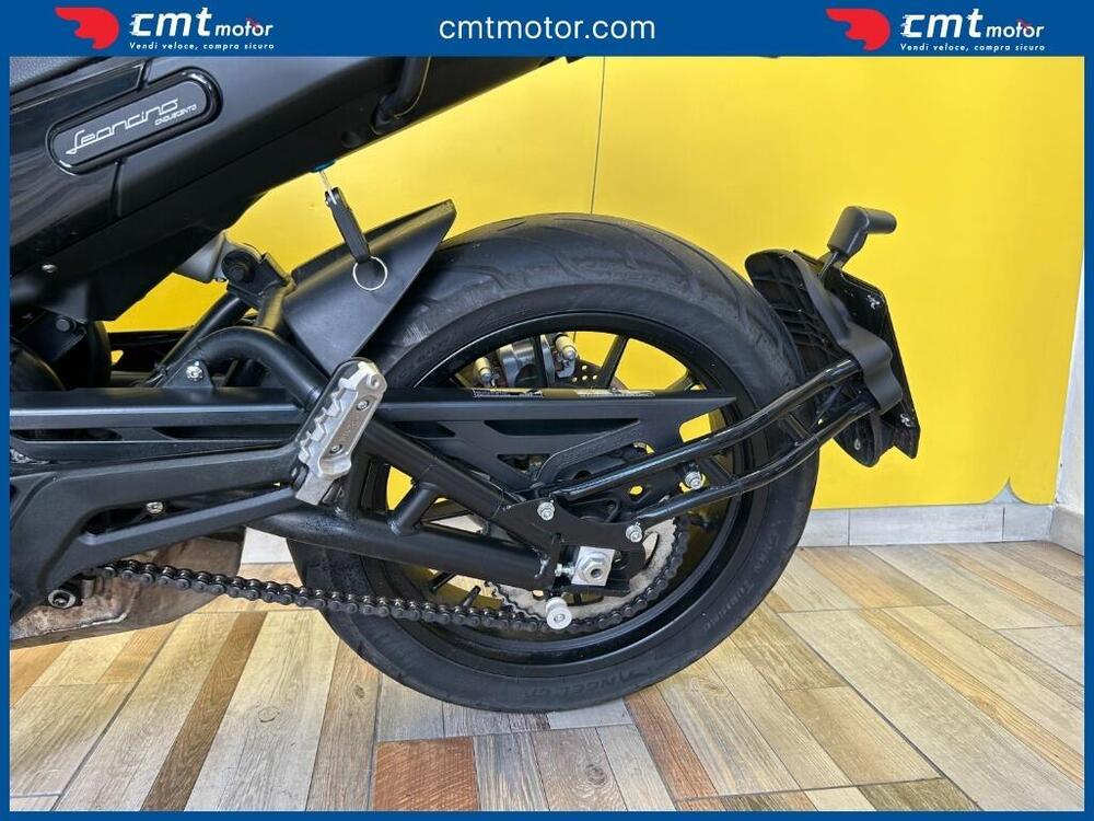 Benelli Leoncino 500 (2021 - 25) (10)