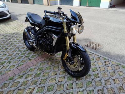 Triumph Speed Triple 1050 (2005 - 11) usata