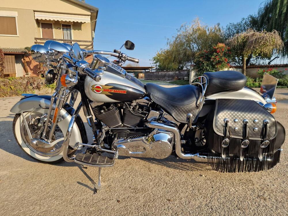 Harley-Davidson 1450 Heritage Springer (2000 - 03) - FLSTS (6)