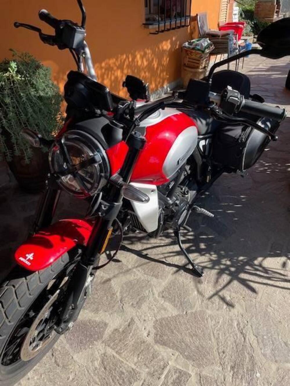 Ducati Scrambler 800 Icon (2023 - 24) (2)