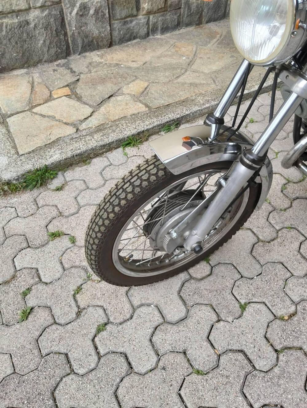 Moto Guzzi 250 ts (3)