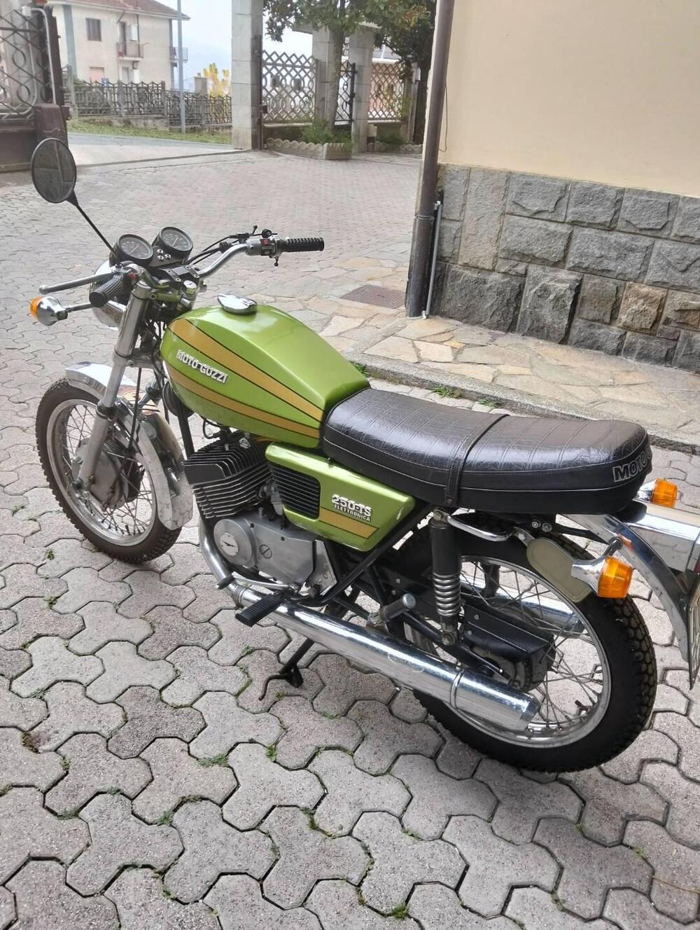 Moto Guzzi 250 ts (7)