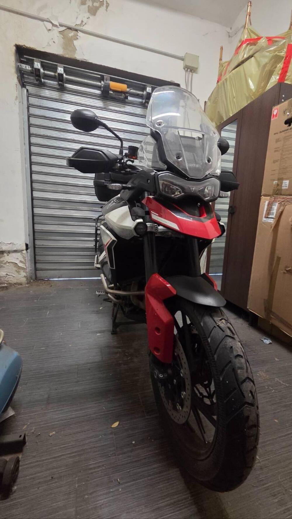 Triumph Tiger 900 GT Aragón Edition (2023 - 24)