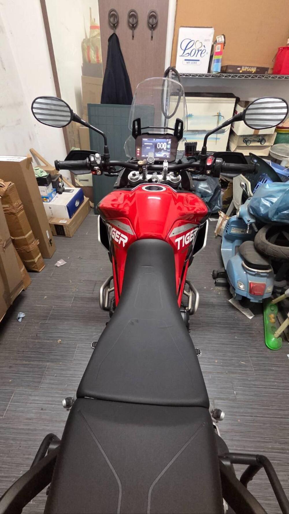 Triumph Tiger 900 GT Aragón Edition (2023 - 24) (2)