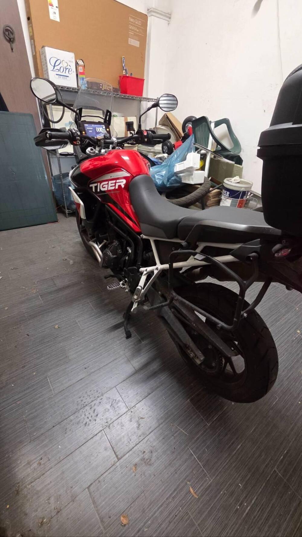 Triumph Tiger 900 GT Aragón Edition (2023 - 24) (3)