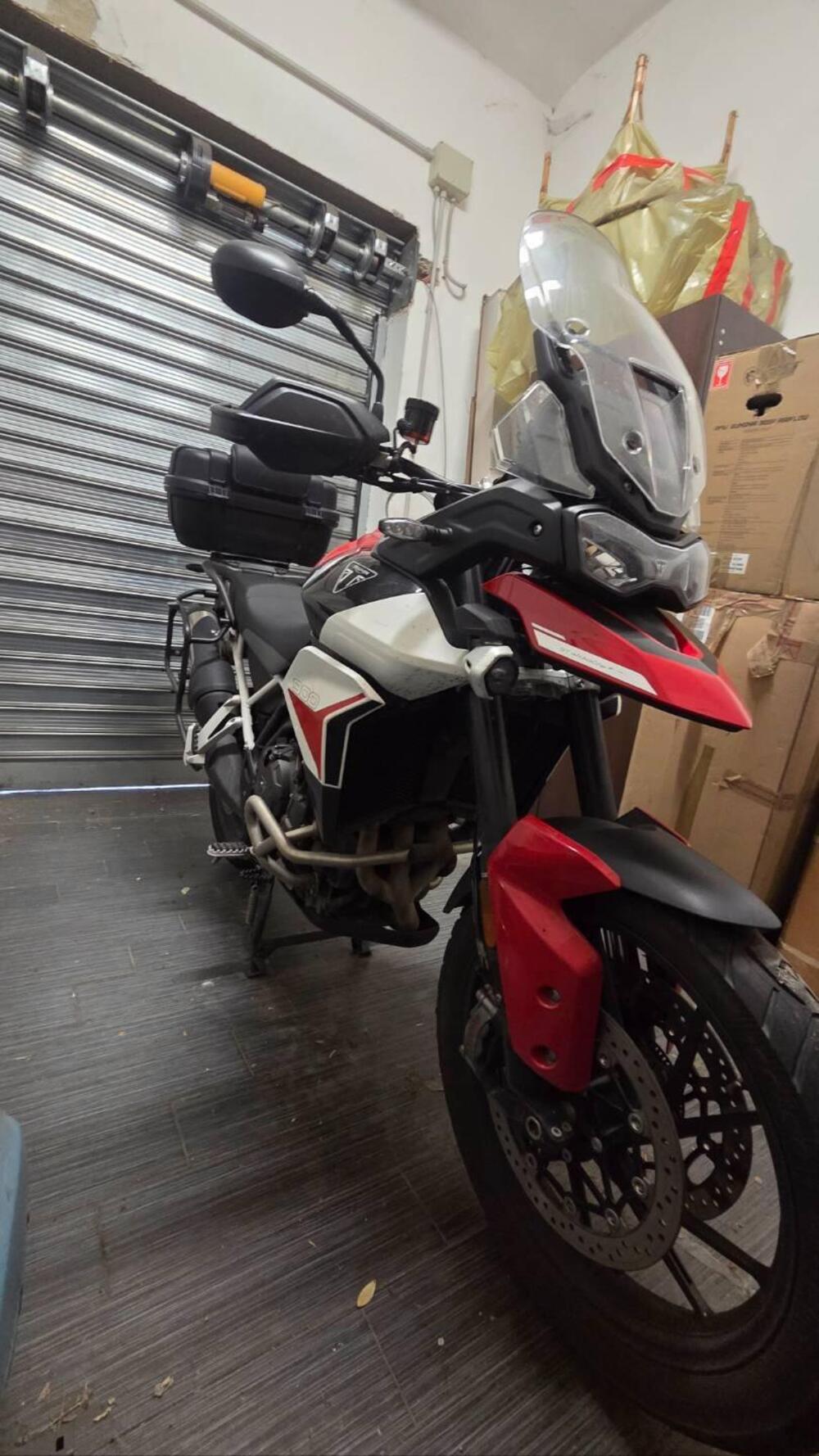 Triumph Tiger 900 GT Aragón Edition (2023 - 24) (4)