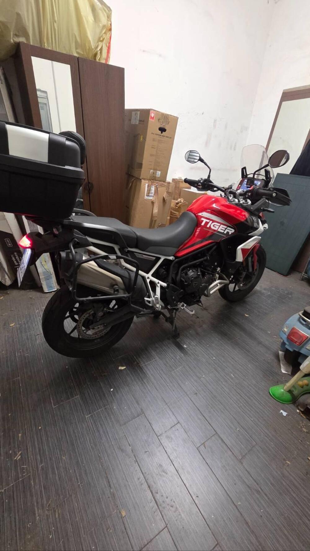 Triumph Tiger 900 GT Aragón Edition (2023 - 24) (5)