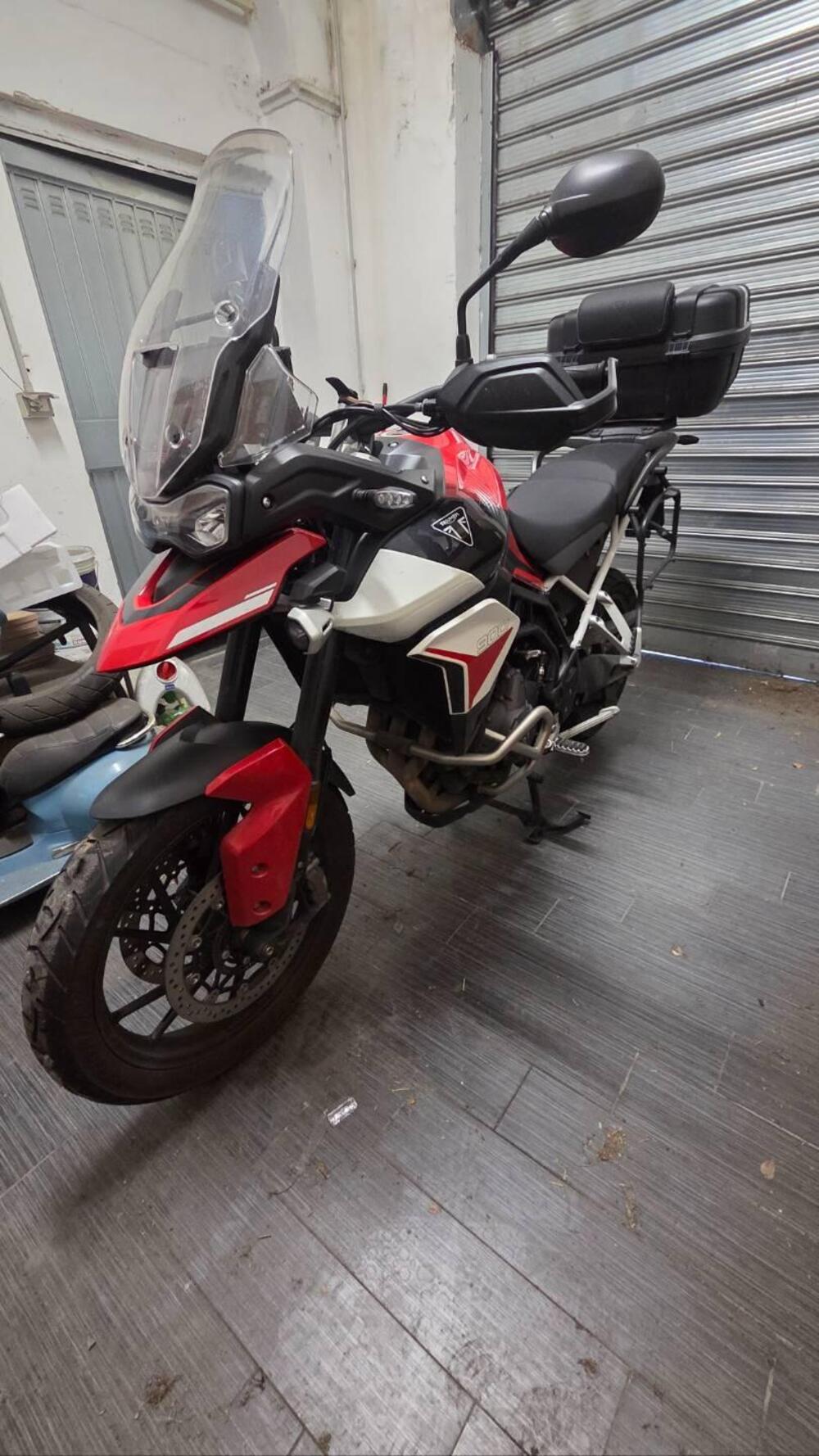 Triumph Tiger 900 GT Aragón Edition (2023 - 24) (6)