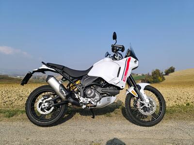 Ducati DesertX (2022 - 25) usata