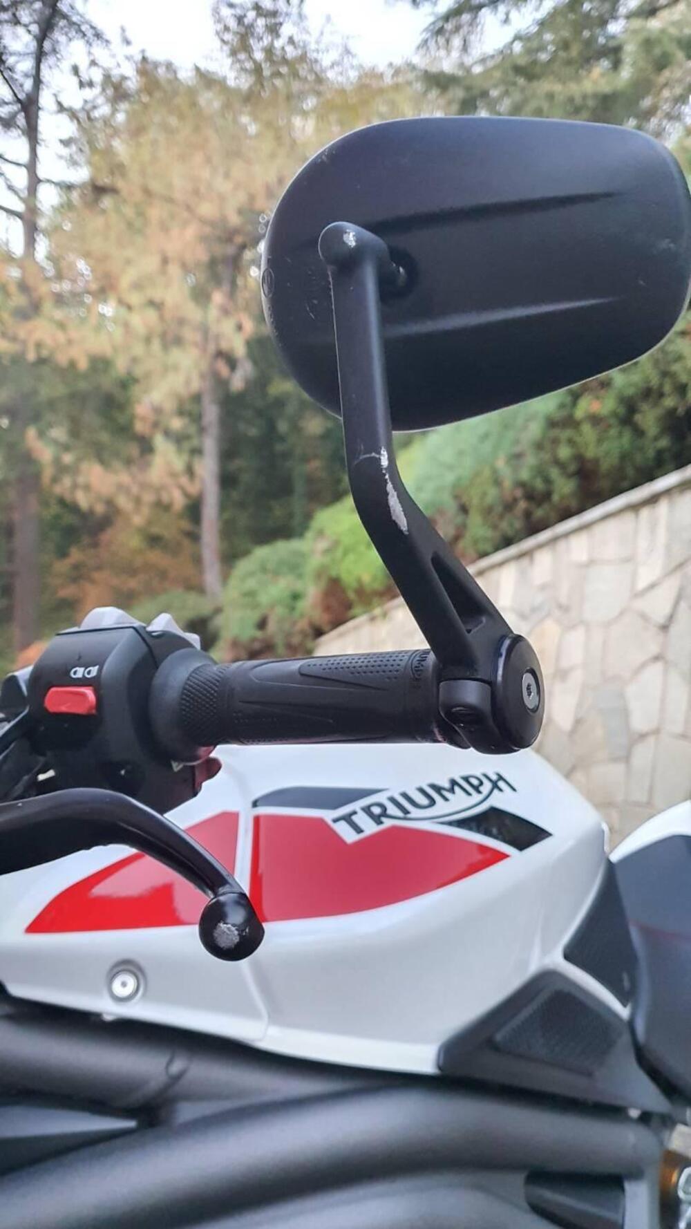 Triumph Speed Triple 1050 RS (2018 - 20) (12)