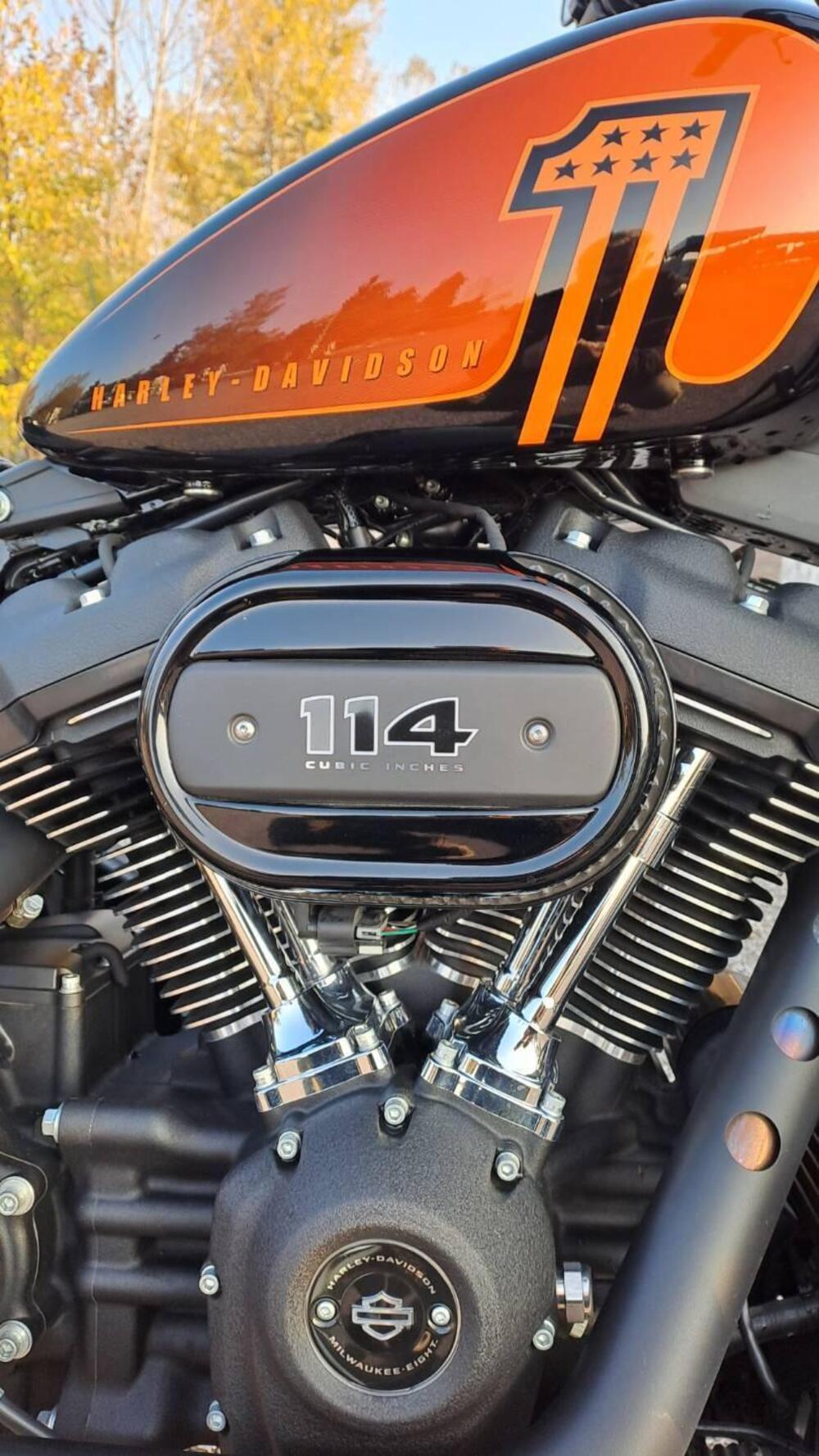 Harley-Davidson Street Bob 114 (2021 - 24) (6)