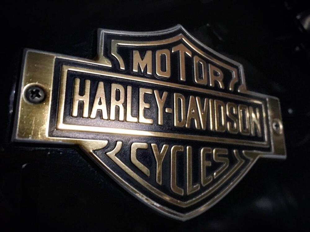 Harley-Davidson XLCR 1000 (10)