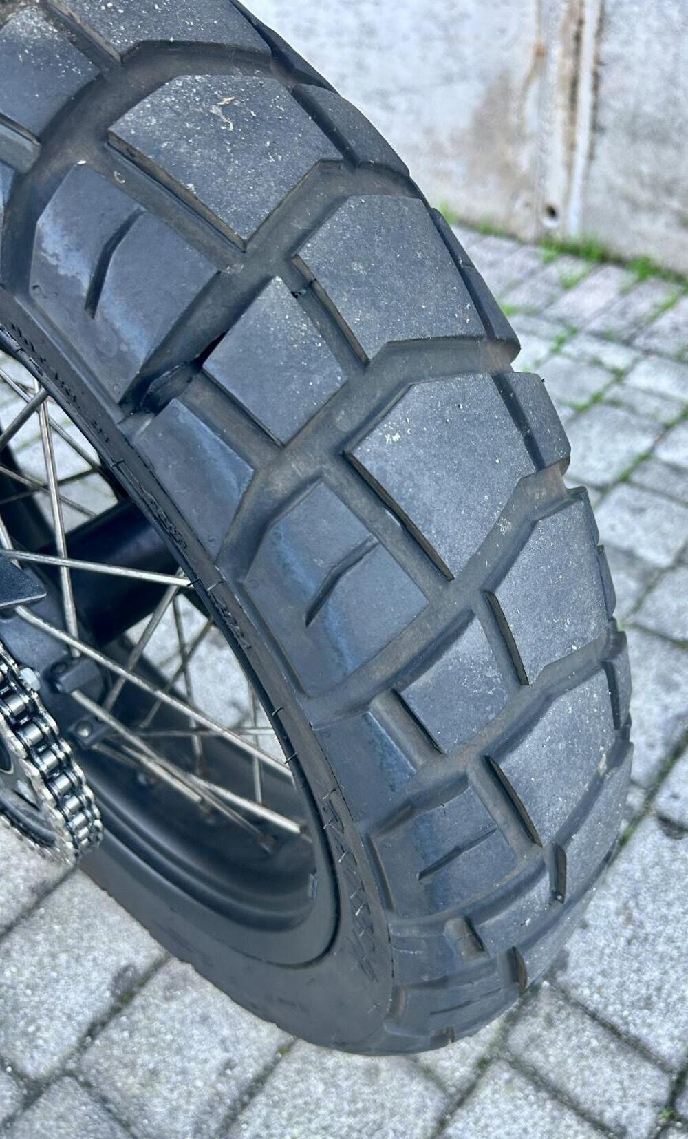 Husqvarna Norden 901 Expedition (2023 - 24) (4)