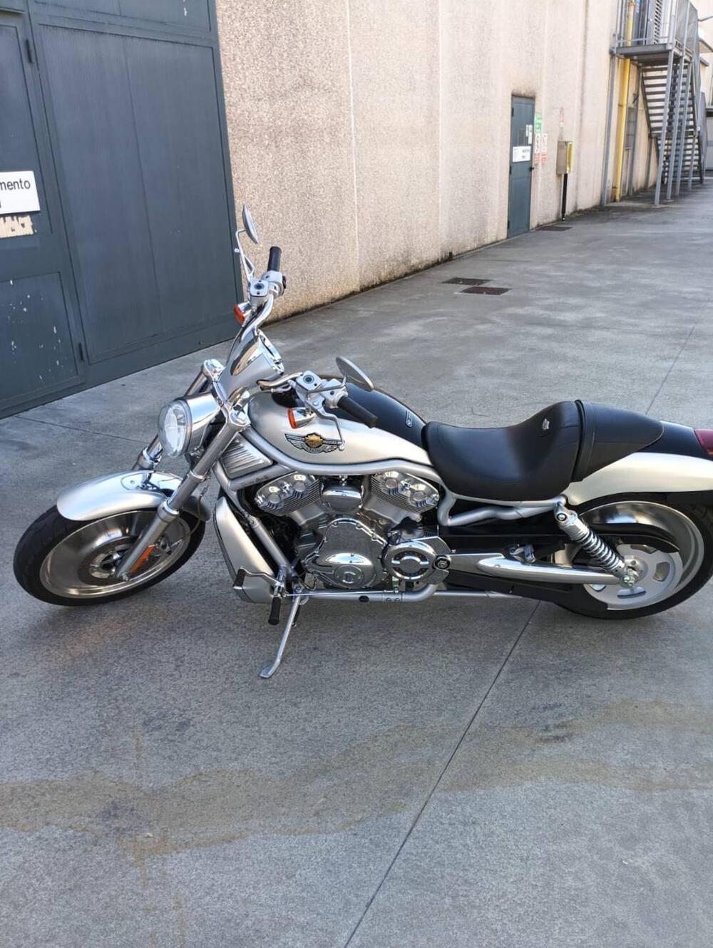 Harley-Davidson 1130 V-Rod (2002 - 05) - VRSCA (3)