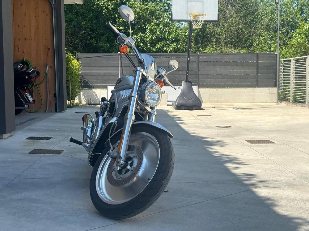 Harley-Davidson 1130 V-Rod (2002 - 05) - VRSCA (4)