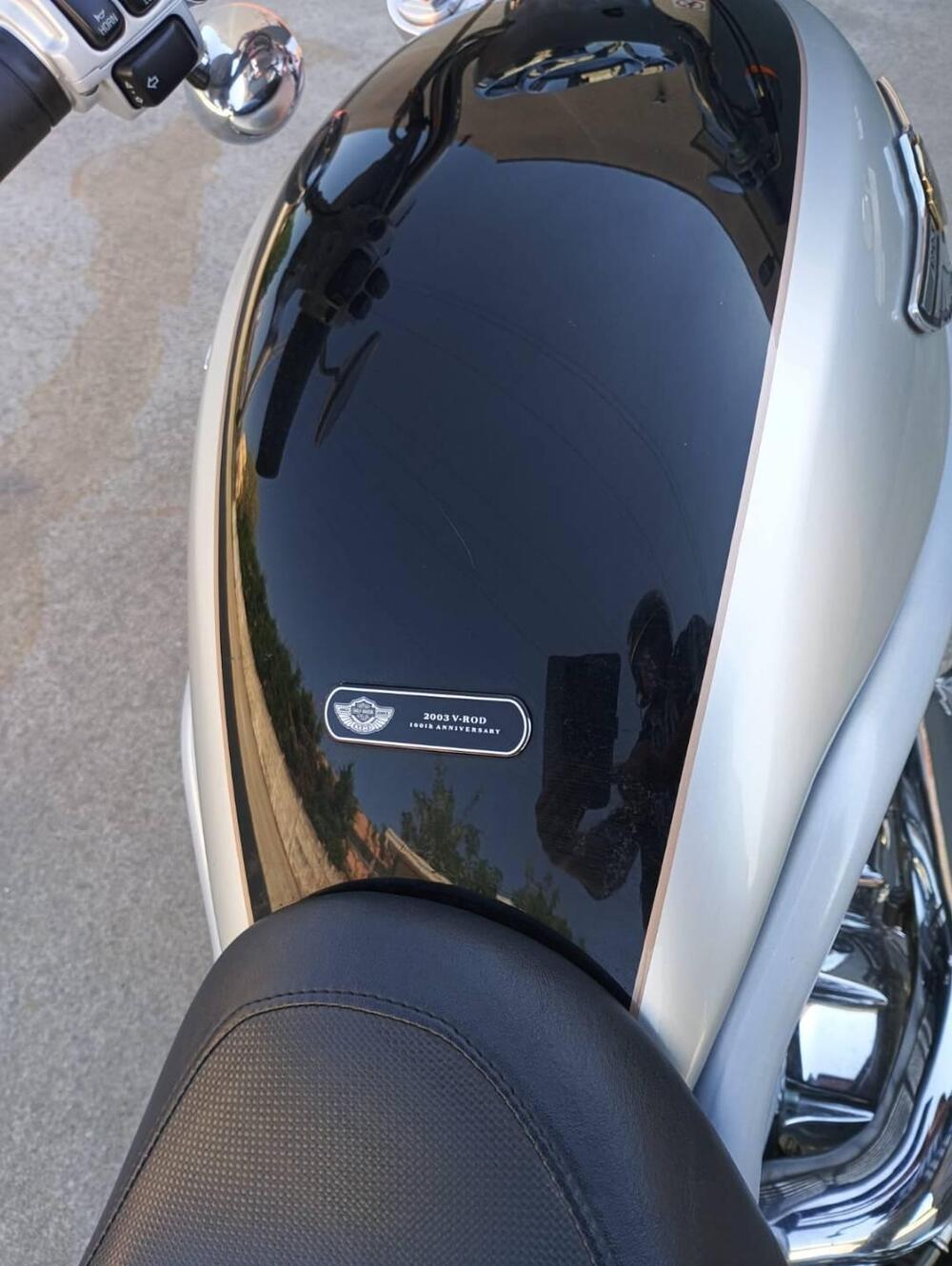 Harley-Davidson 1130 V-Rod (2002 - 05) - VRSCA (6)