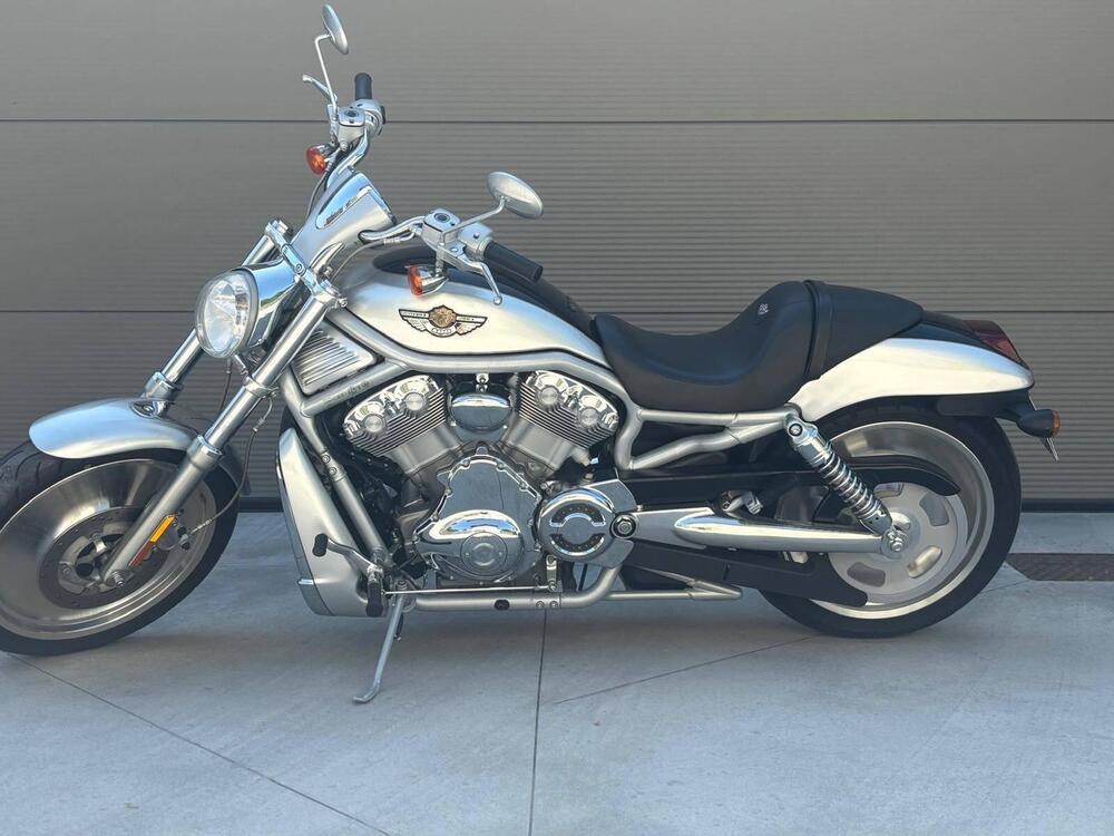 Harley-Davidson 1130 V-Rod (2002 - 05) - VRSCA (7)