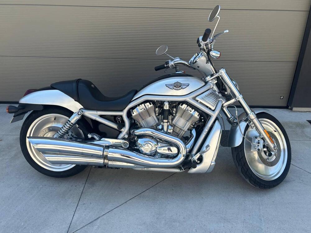 Harley-Davidson 1130 V-Rod (2002 - 05) - VRSCA (8)