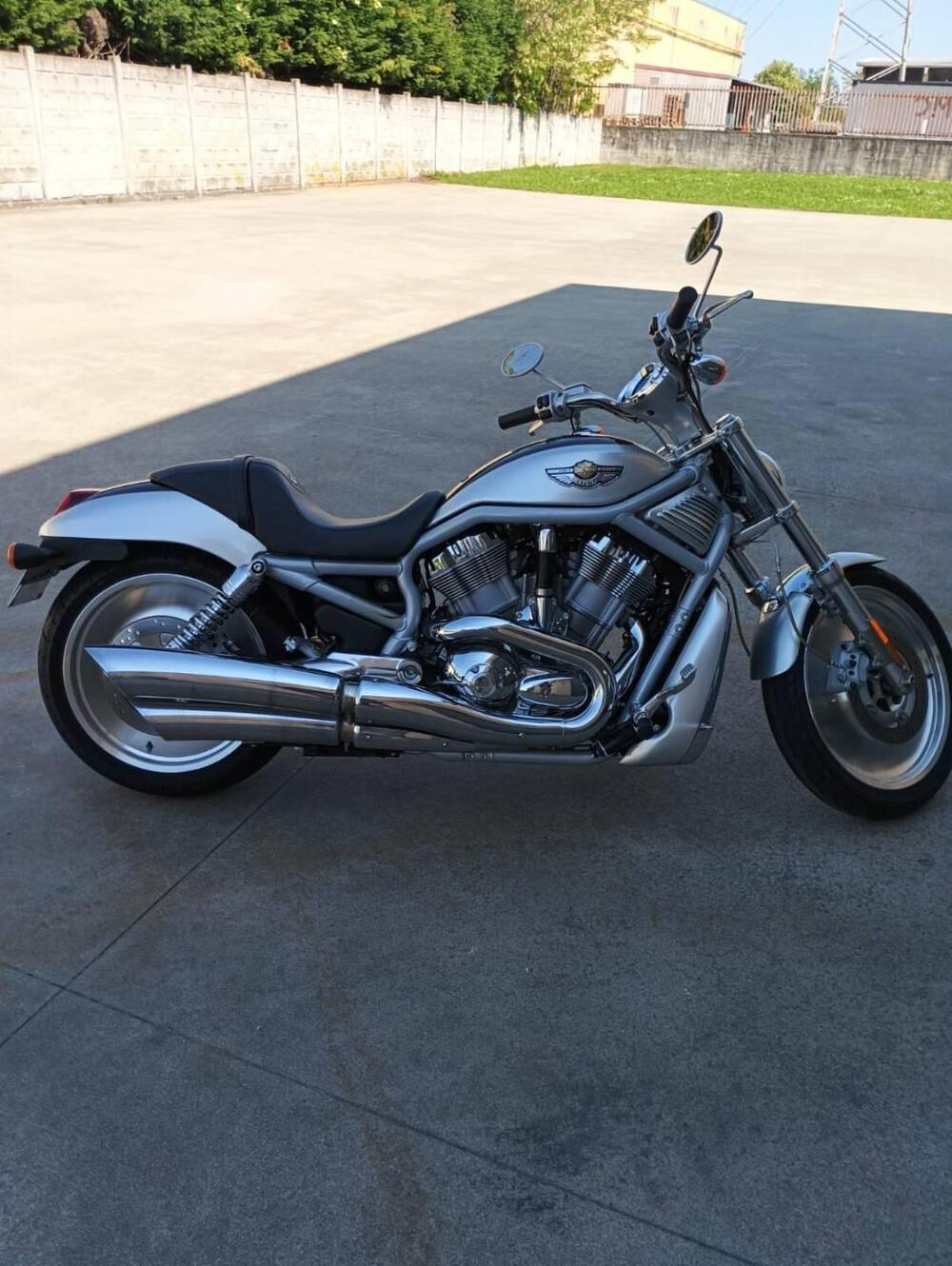 Harley-Davidson 1130 V-Rod (2002 - 05) - VRSCA (9)