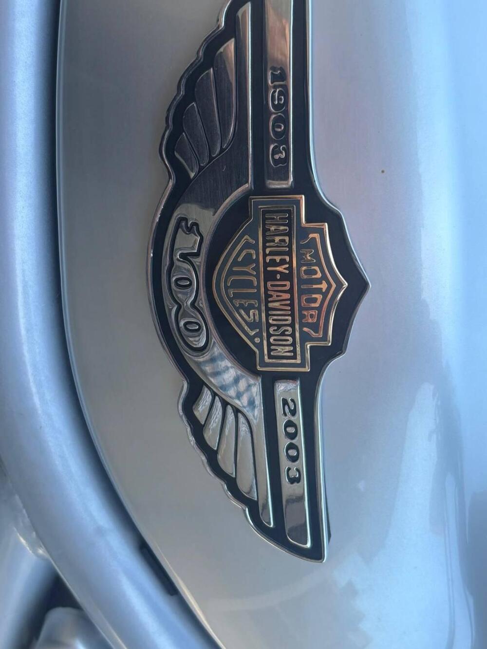 Harley-Davidson 1130 V-Rod (2002 - 05) - VRSCA (10)