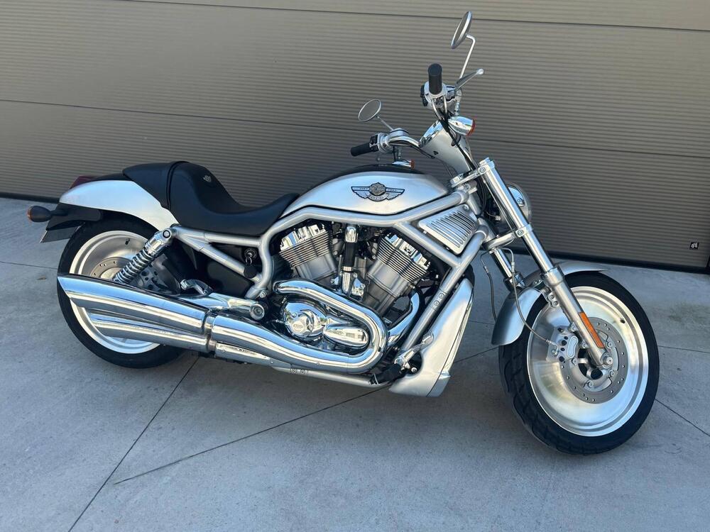 Harley-Davidson 1130 V-Rod (2002 - 05) - VRSCA (11)