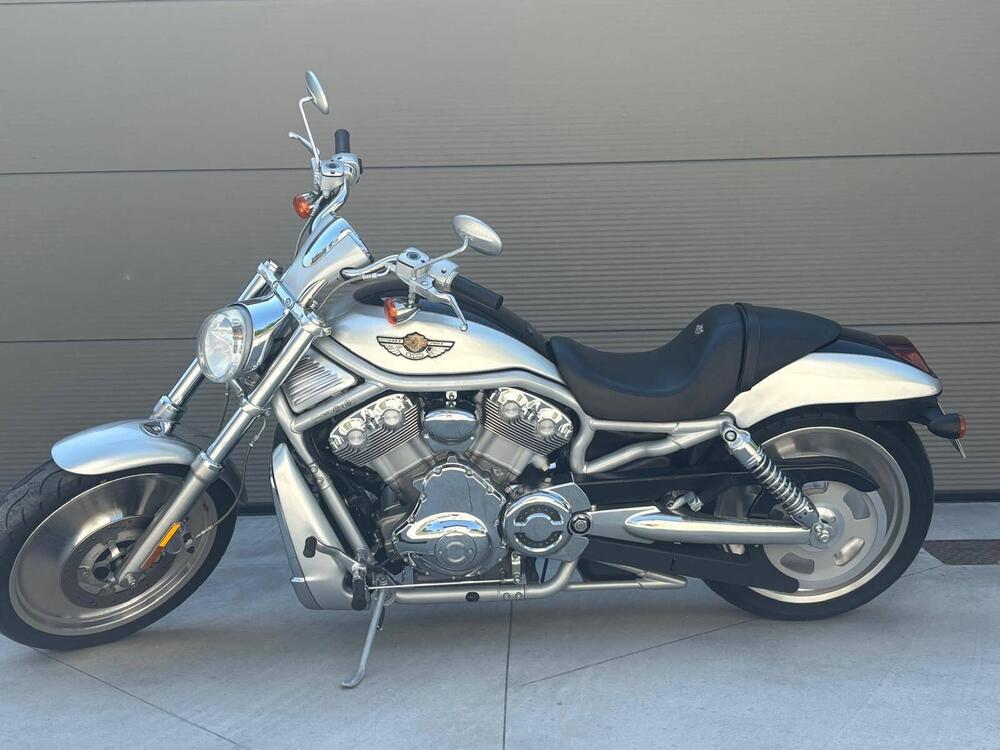 Harley-Davidson 1130 V-Rod (2002 - 05) - VRSCA (12)