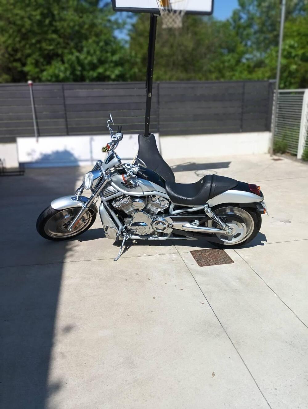 Harley-Davidson 1130 V-Rod (2002 - 05) - VRSCA (13)