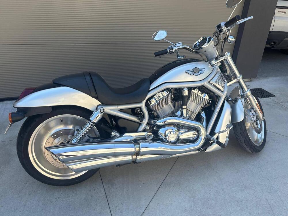 Harley-Davidson 1130 V-Rod (2002 - 05) - VRSCA (14)