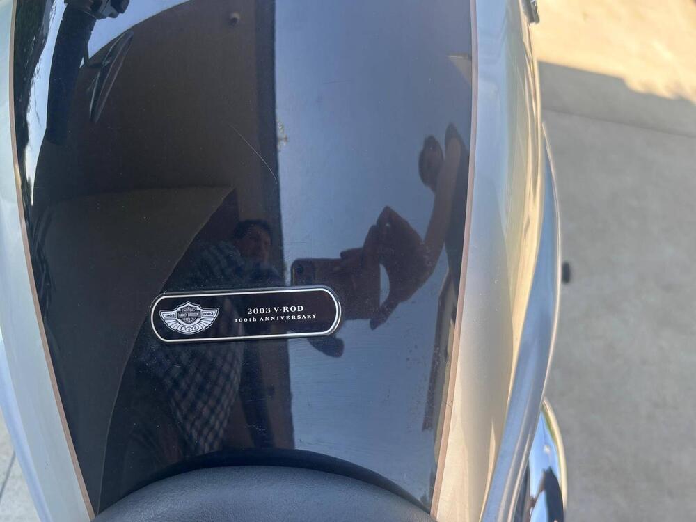 Harley-Davidson 1130 V-Rod (2002 - 05) - VRSCA (15)