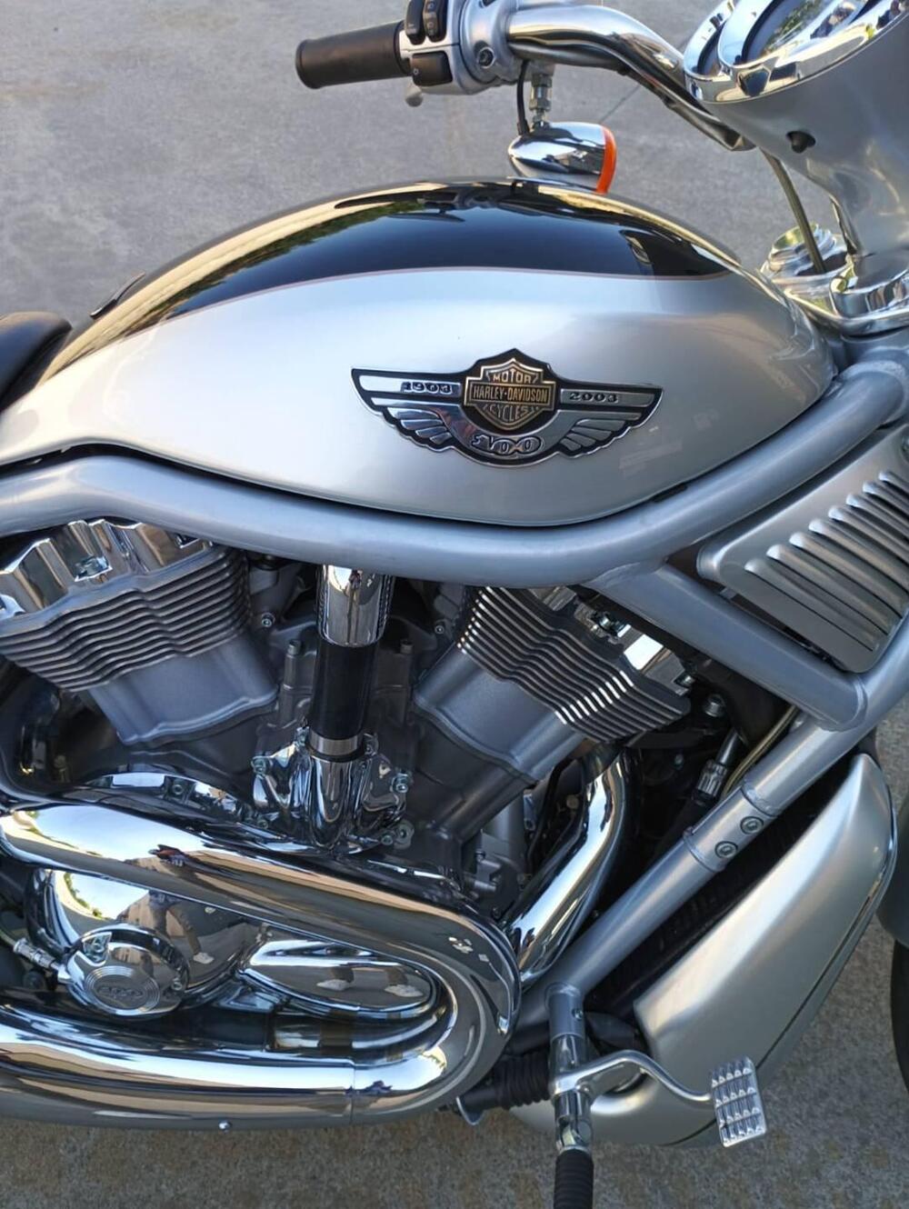 Harley-Davidson 1130 V-Rod (2002 - 05) - VRSCA (16)