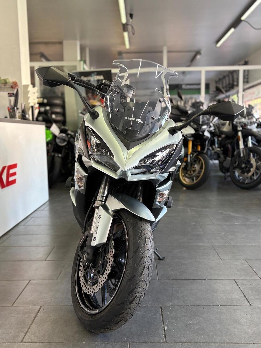 Kawasaki Z 1000 SX (2017 - 20) (2)