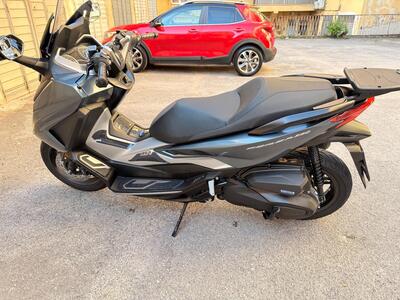 Honda Forza 350 (2022 - 24) usata