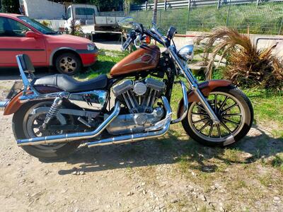Harley-Davidson 883 Standard (2001 - 05) - XL 883 usata