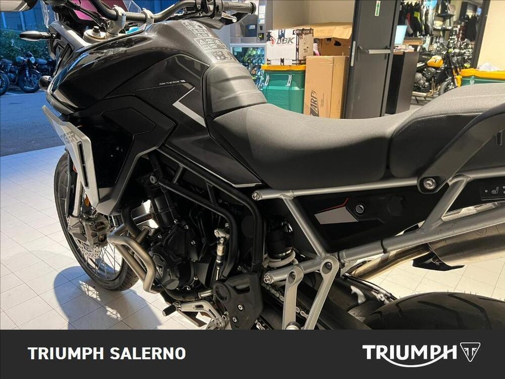 Triumph Tiger 900 Rally Pro (2024 - 26) (5)