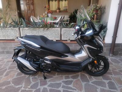 Honda Forza 350 (2022 - 24) usata
