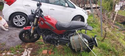 Benelli Leoncino 500 (2021 - 25) usata