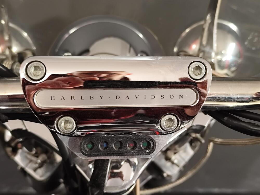 Harley-Davidson 1450 Low Rider (1999 - 03) - FXDL (19)