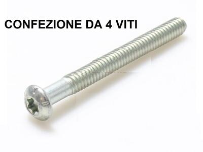 kit 4 viti parafango posteriore Softail Sport Glid 
