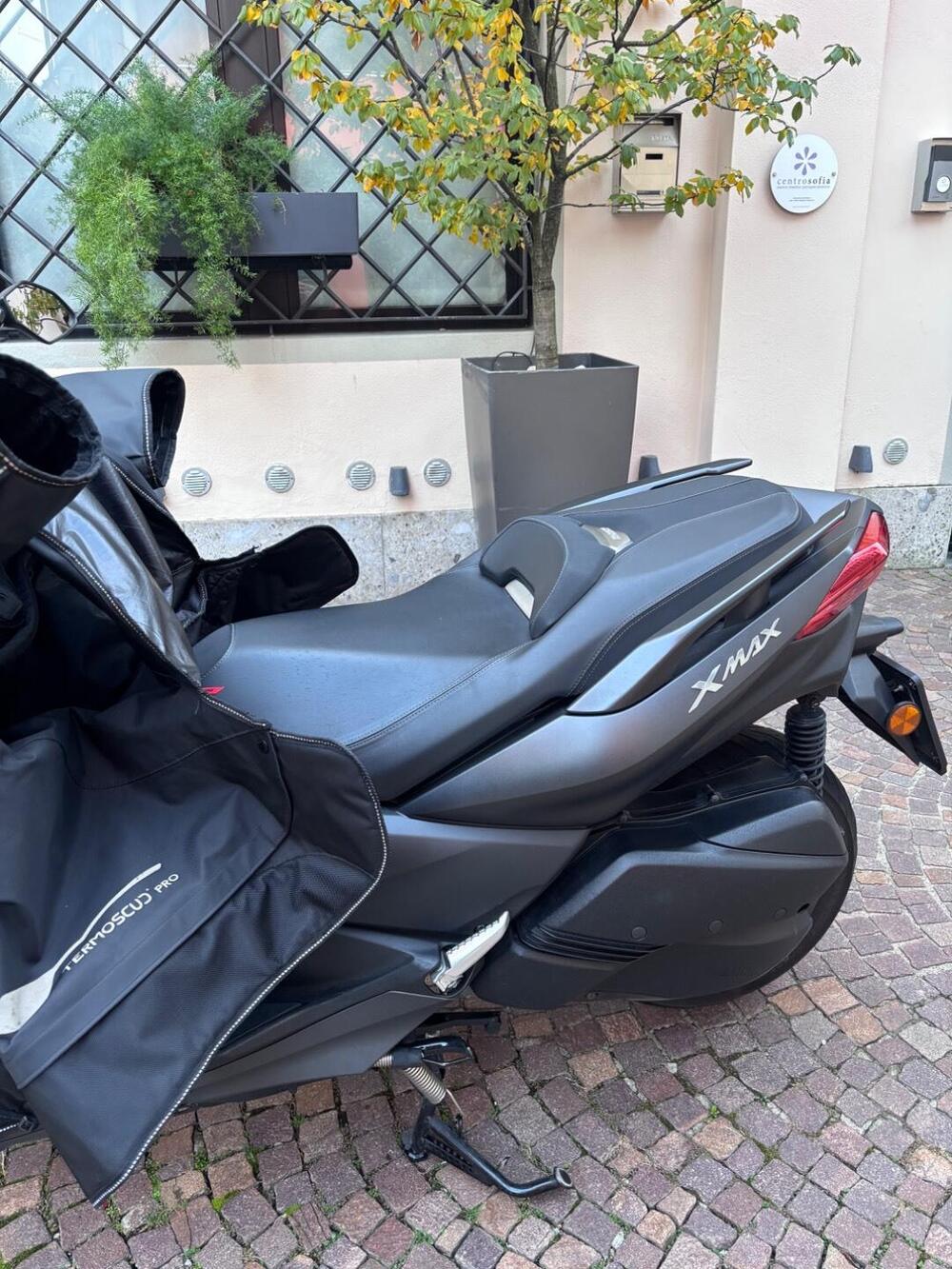 Yamaha X-Max 300 ABS (2017 - 20) (3)