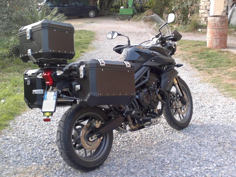 Triumph Tiger 800 ABS (2010 - 14) (11)