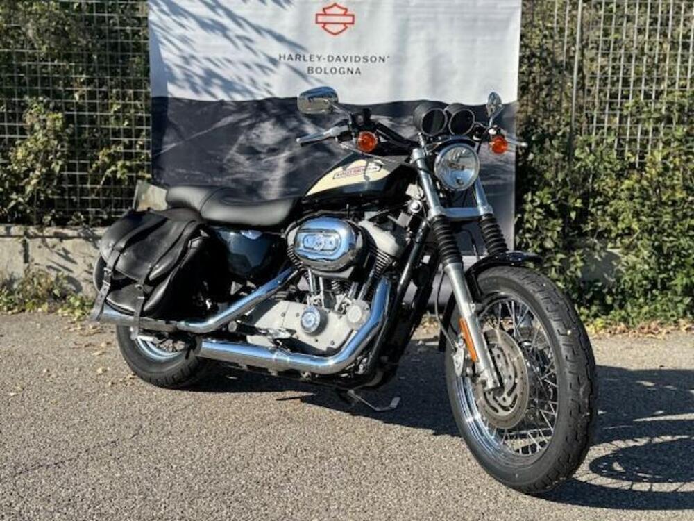 Harley-Davidson 1200 Roadster (2002 - 05) - XL 1200R (3)