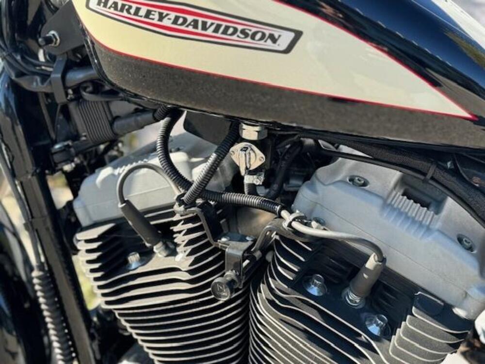 Harley-Davidson 1200 Roadster (2002 - 05) - XL 1200R (7)