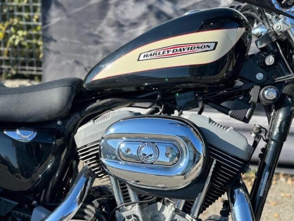 Harley-Davidson 1200 Roadster (2002 - 05) - XL 1200R (2)