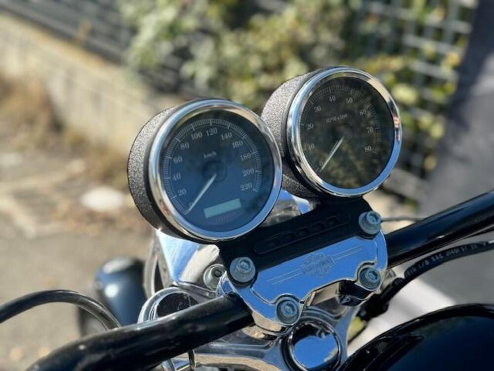 Harley-Davidson 1200 Roadster (2002 - 05) - XL 1200R (8)