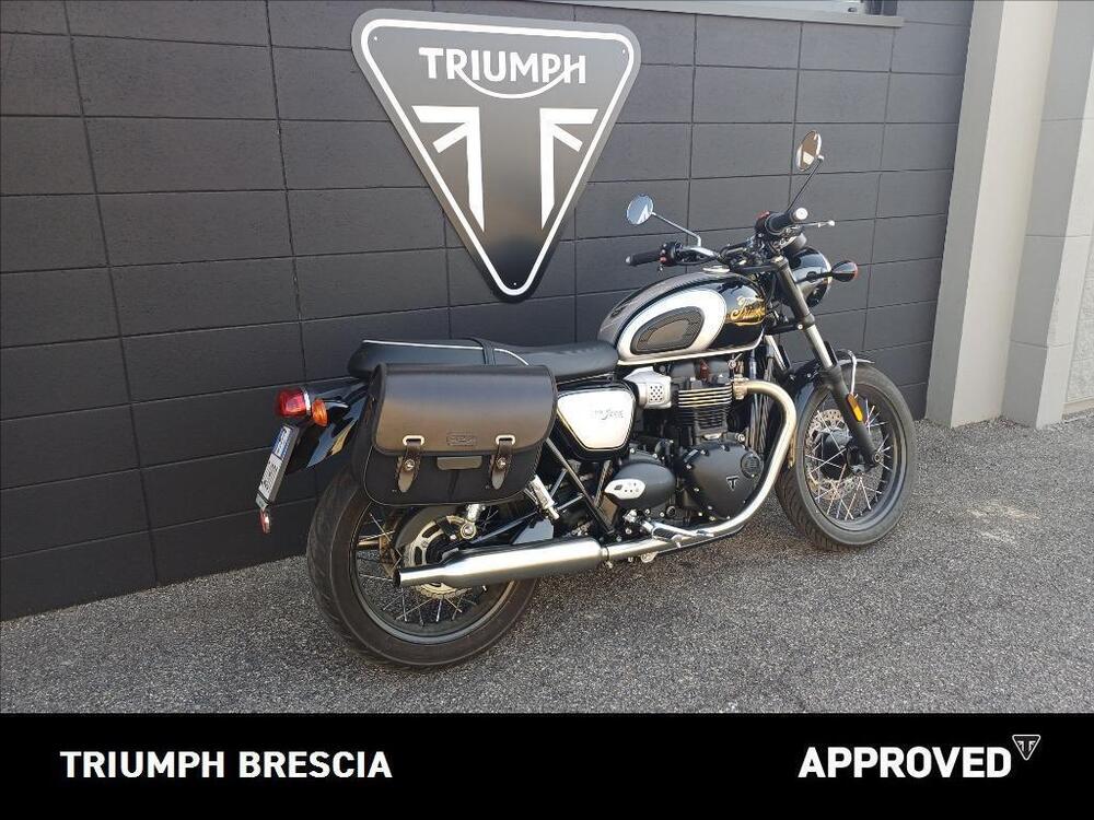 Triumph Bonneville T100 Icon Edition (2025 - 26) (3)