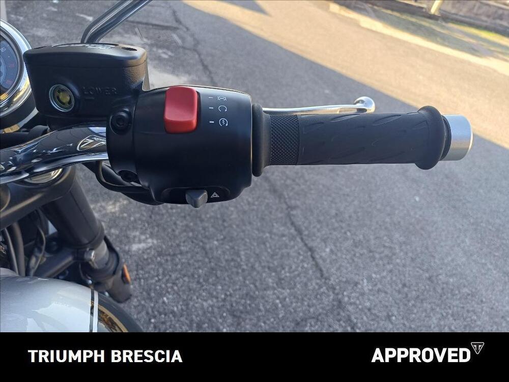 Triumph Bonneville T100 Icon Edition (2025 - 26) (9)