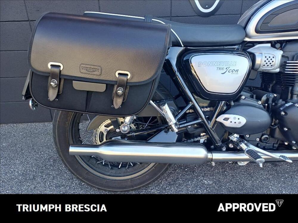 Triumph Bonneville T100 Icon Edition (2025 - 26) (4)
