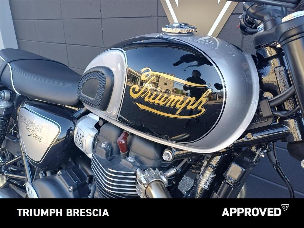 Triumph Bonneville T100 Icon Edition (2025 - 26) (6)