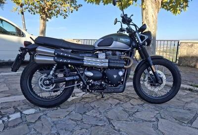 Triumph Street Scrambler 900 (2021 - 22) usata