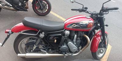 Bsa Gold Star 650 (2024 - 25) usata